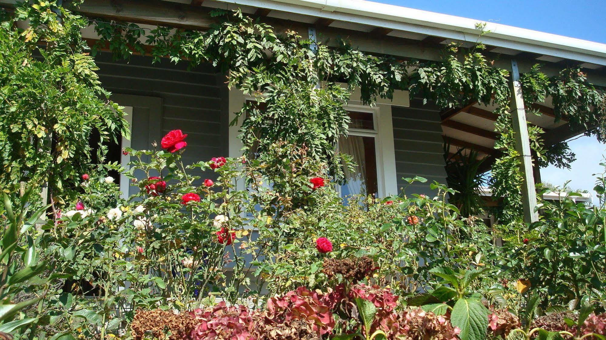 Olde Mill House B&B & Bike2Wine Cycle Hire Renwick Exterior photo